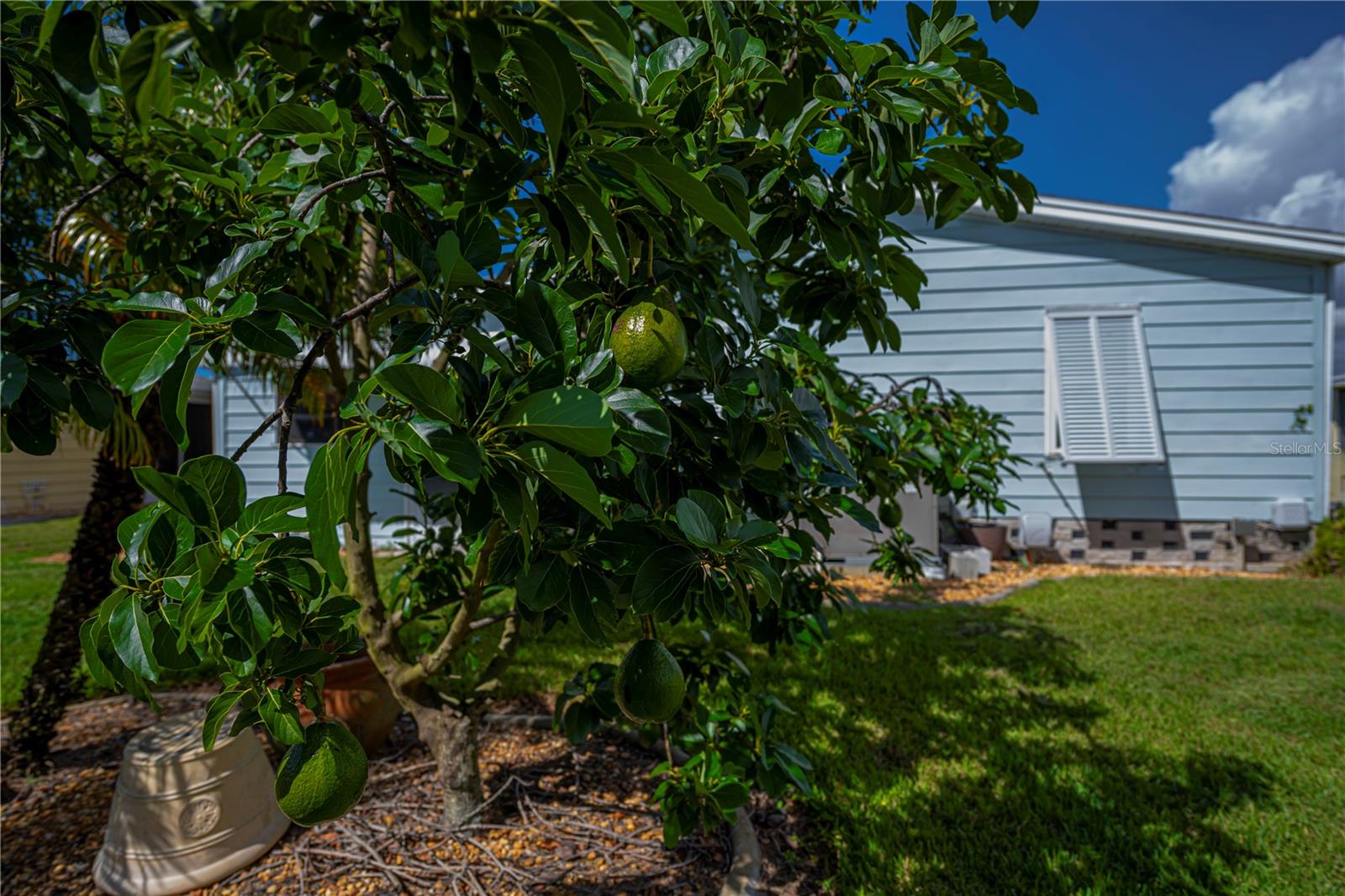 TANGERINE WOODS - Residential