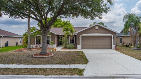 A home in PARRISH