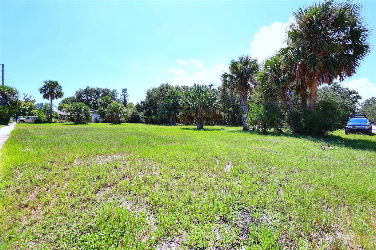 BUENA VISTA SHORES - Land