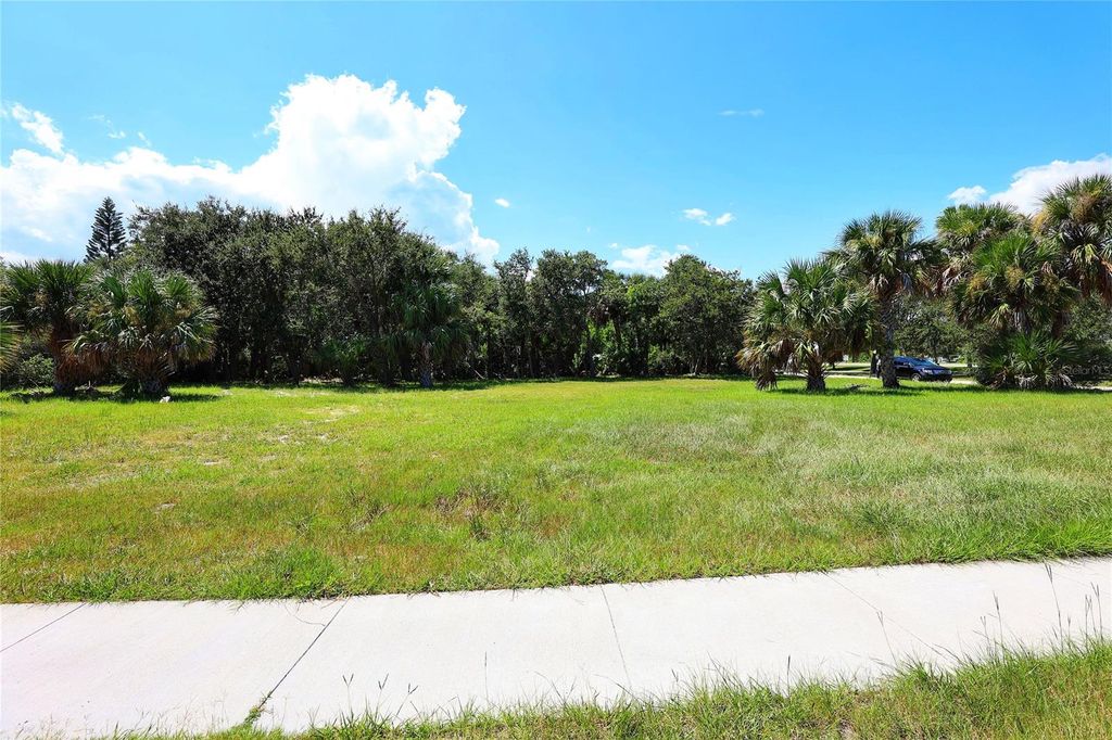 Photo of 102 Desoto Drive, New Smyrna Beach, FL 32169 (MLS # NS1077108)