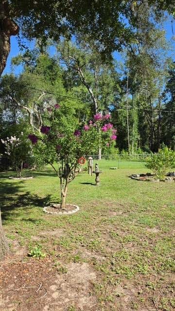 Tiny photo for 10335 N Abby Drive, Citrus Springs, FL 34434 (MLS # OM729565)