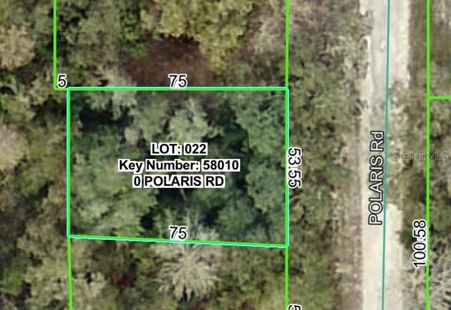 This .19 acre parcel that is the easement for the power lines. Zoned R1A. You cannot build on it...but you can play on it and use it for your enjoyment. Best buyer is a home-owner whose lot adjoins it or hold it for possible future investment.
The power company must have access to it at all times for maintenance. Cash only. The property is being transferred with a quit claim deed with no owner's title policy, and if the buyer wants any other deed or title policy, they have to pay for those closing costs.