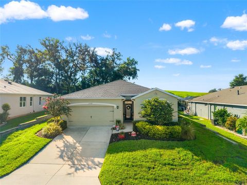 Photo of 12526 Eastpointe Drive, Dade City, FL 33525 (MLS # TB8419300)