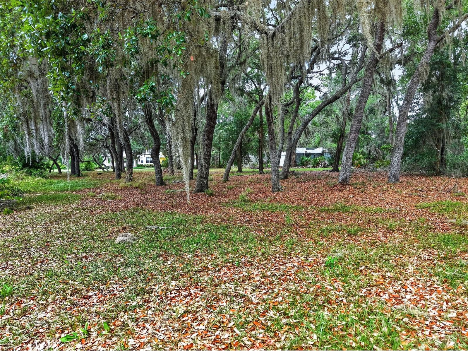 LAKE LEON - Residential