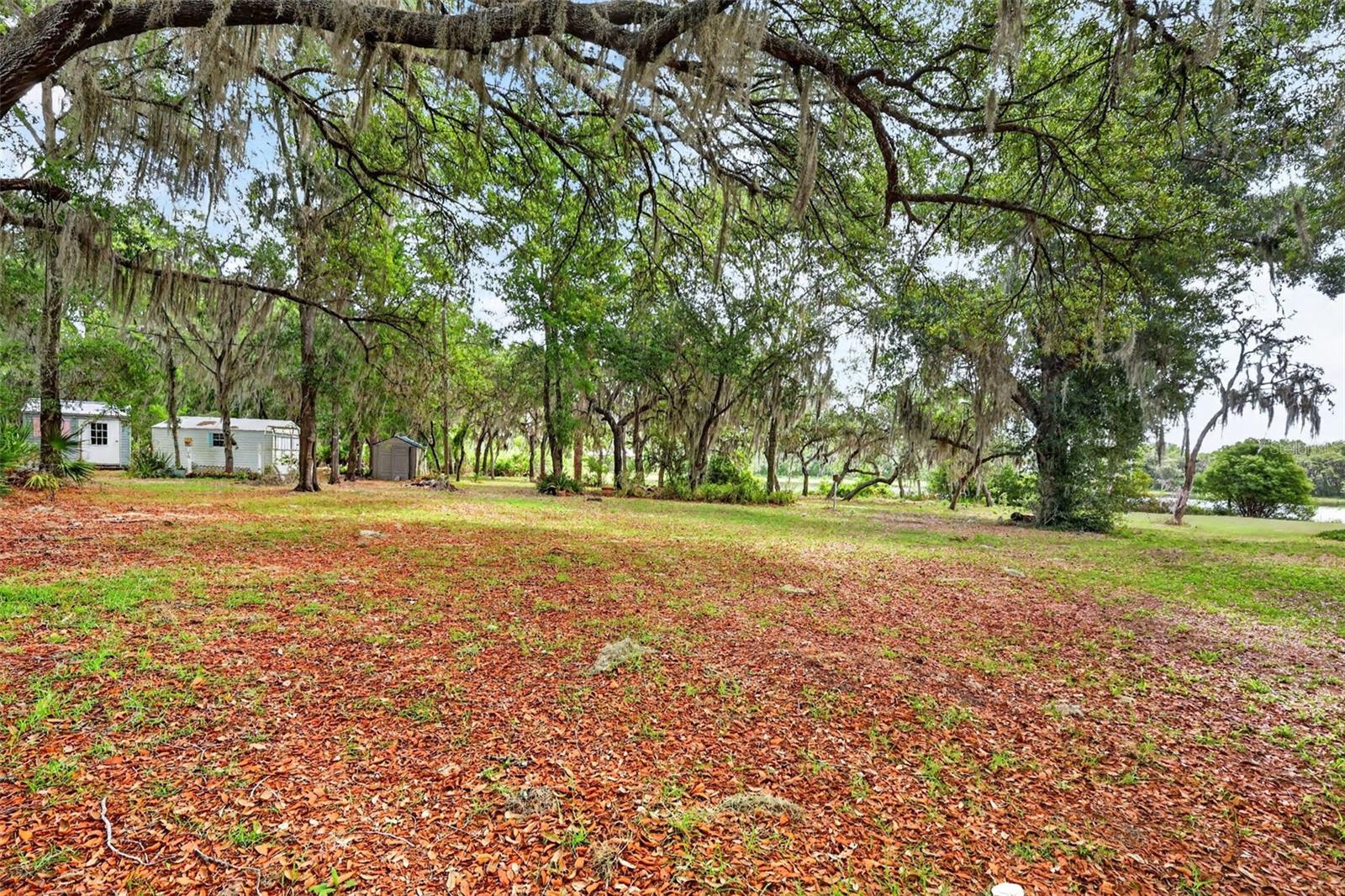 LAKE LEON - Residential