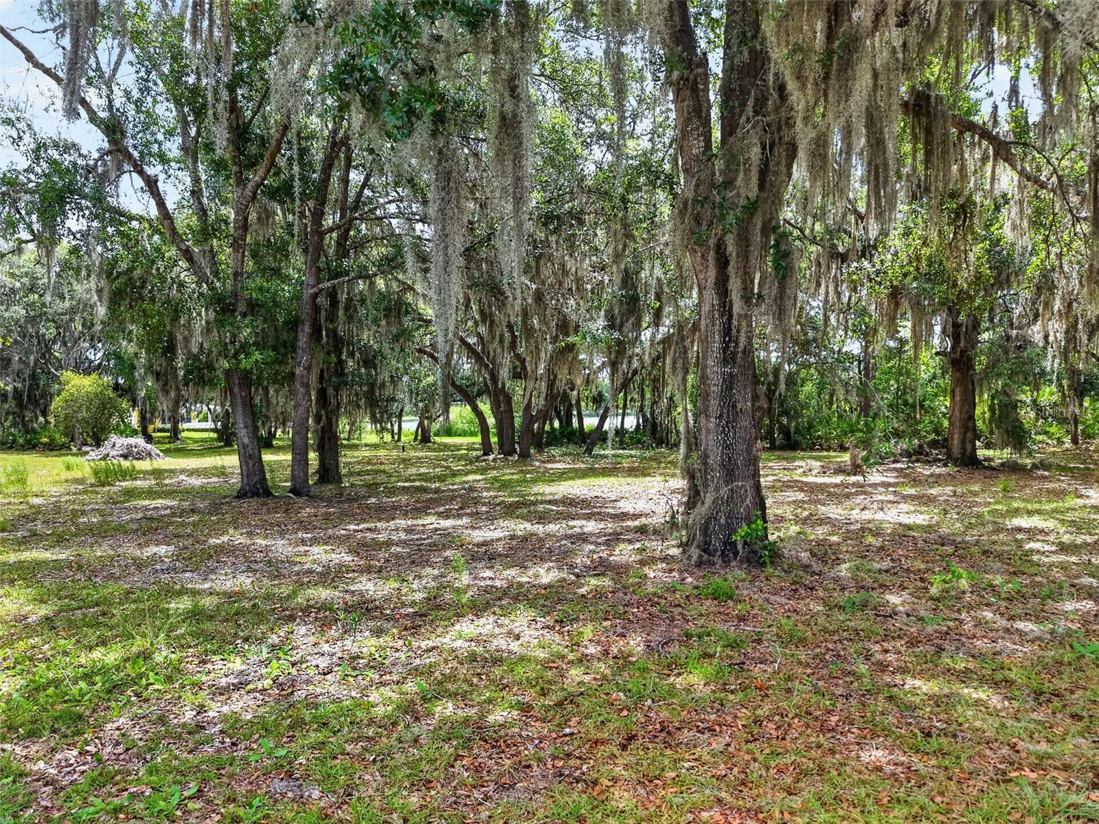 LAKE LEON - Residential