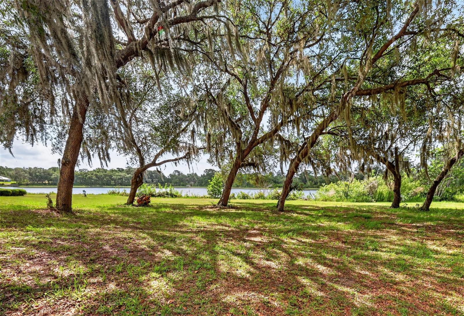 LAKE LEON - Residential