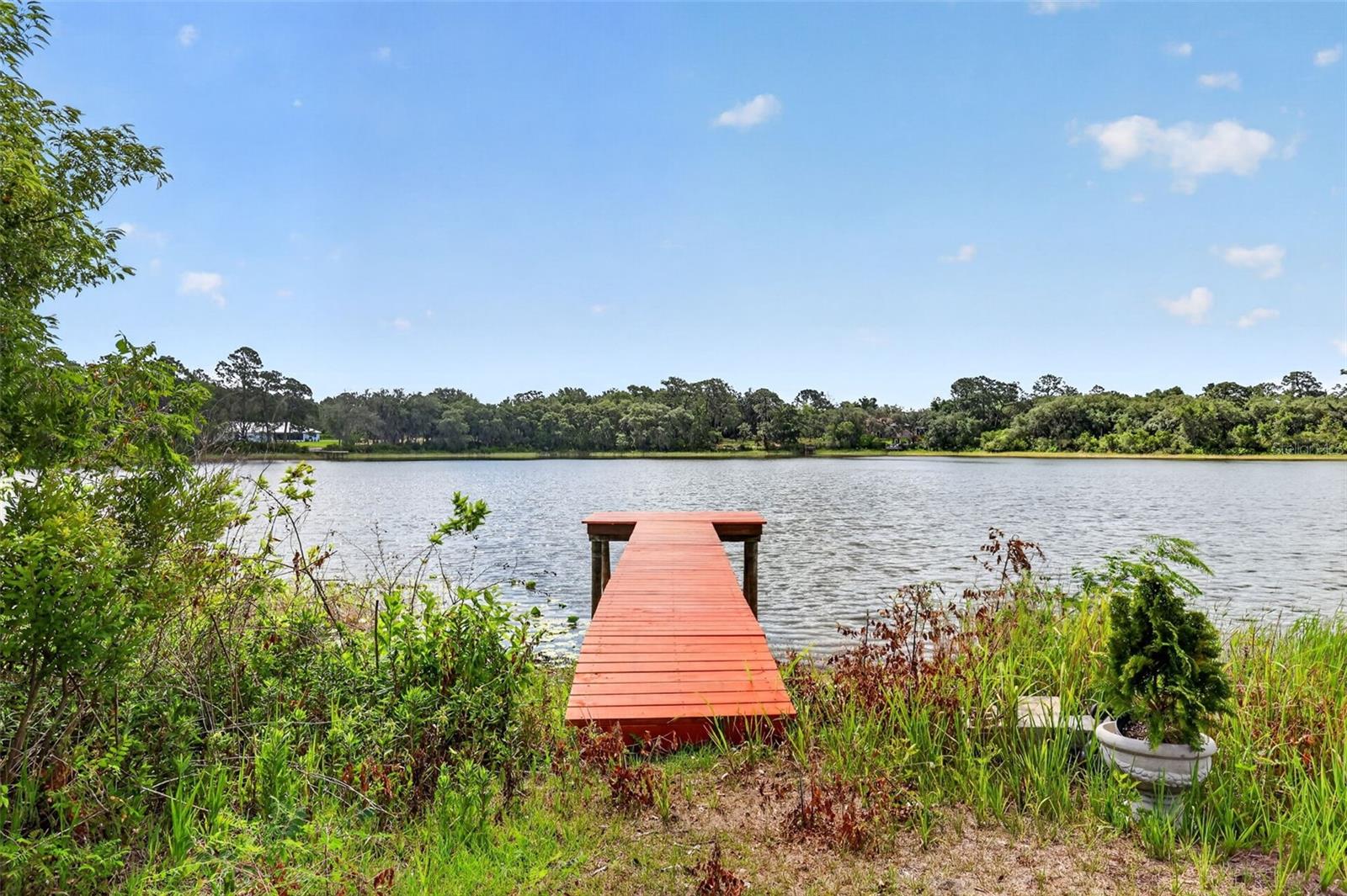LAKE LEON - Residential
