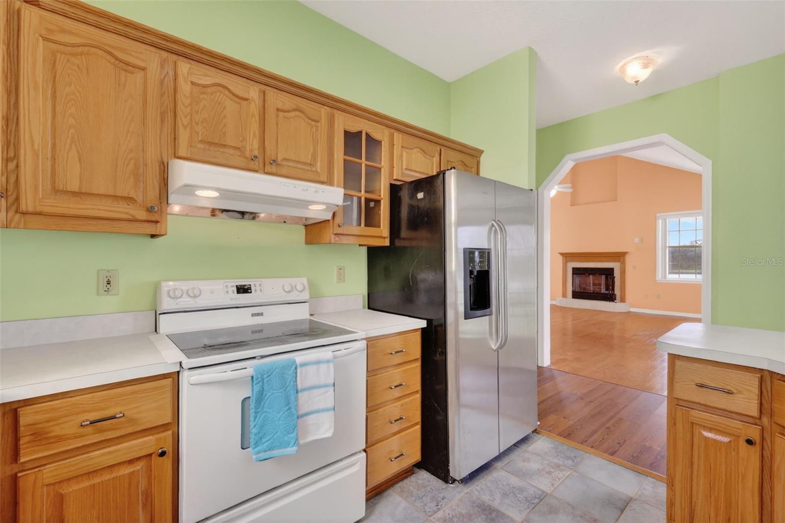 LAKE LEON - Residential