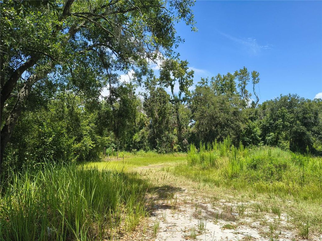 Photo of Willie White Lane, Plant City, FL 33567 (MLS # TB8408638)