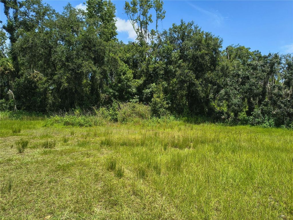 Photo of Willie White Lane, Plant City, FL 33567 (MLS # TB8408638)