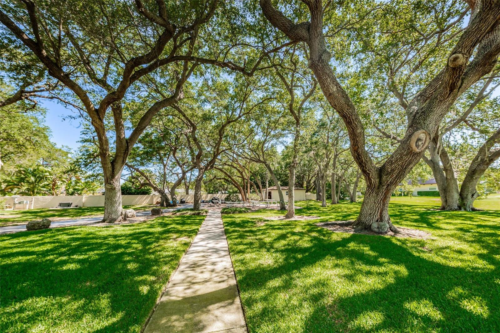 PINEHURST VILLAGE - Residential