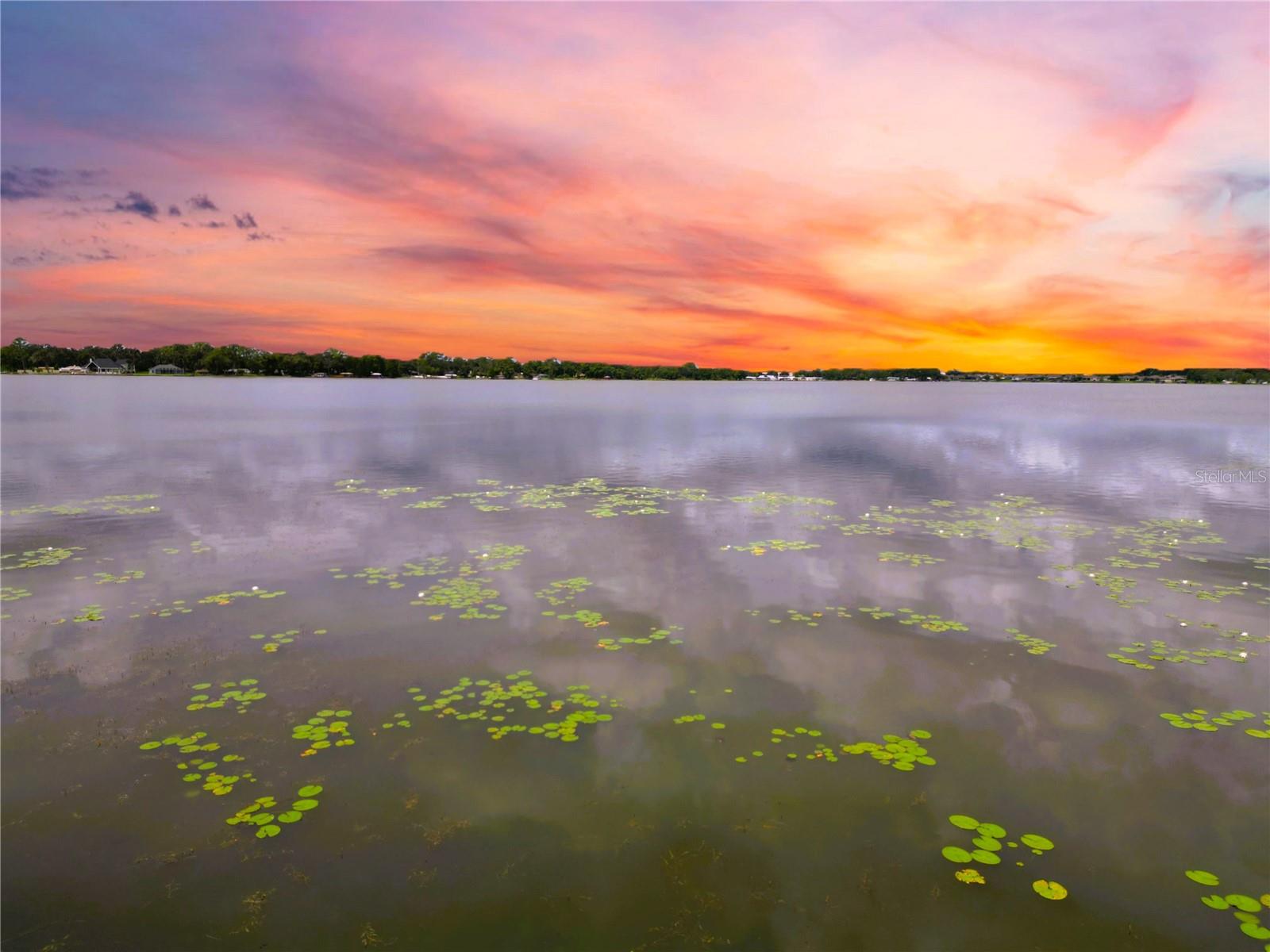 LAKE MARIANA SHORES - Land