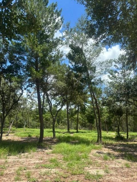 SEMINOLE ESTATES - Residential