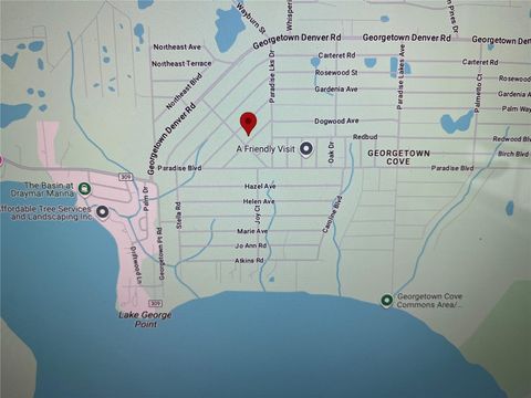 202 SE 4TH STREET GEORGETOWN FL 32139