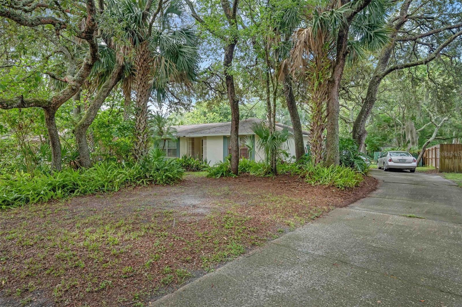 806 LEOPARD TRAIL