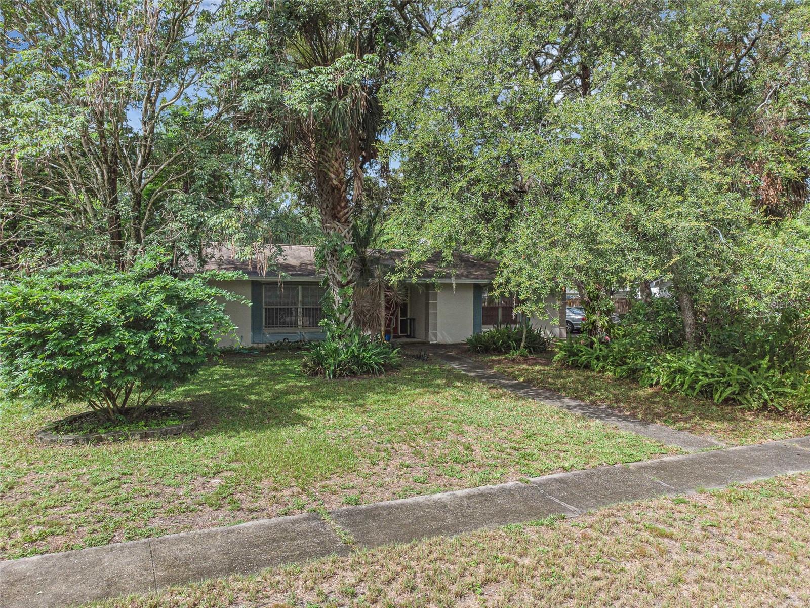 806 LEOPARD TRAIL
