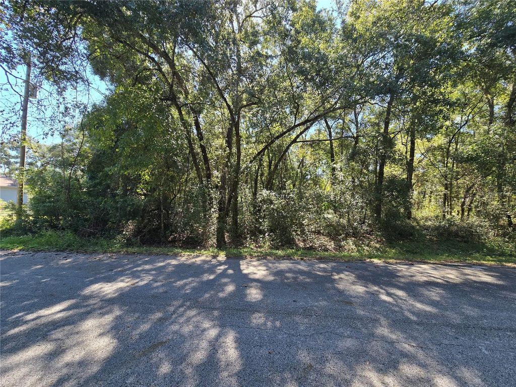 Photo of 11 NW 16th Place, Ocala, FL 34482 (MLS # S5137544)