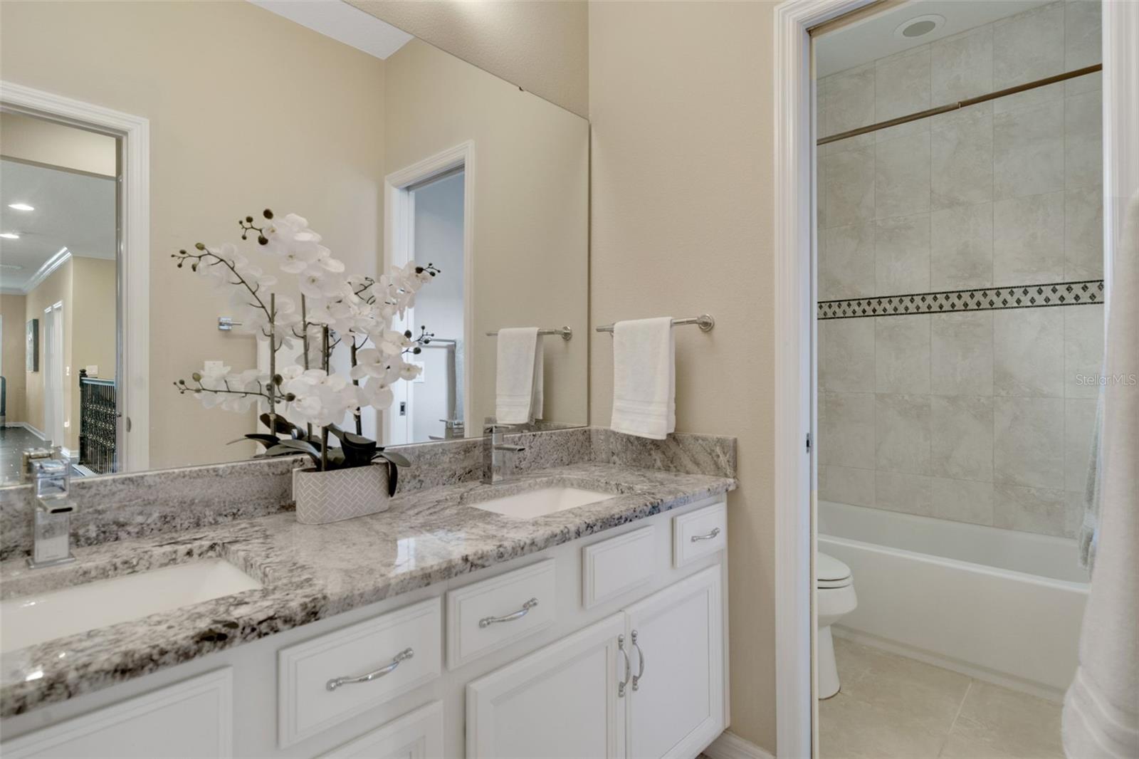 STEEPLE CHASE - Residential