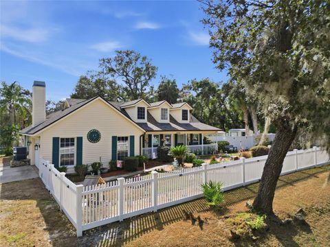 Photo of 11131 Hackney Drive, Riverview, FL 33578 (MLS # TB8442134)