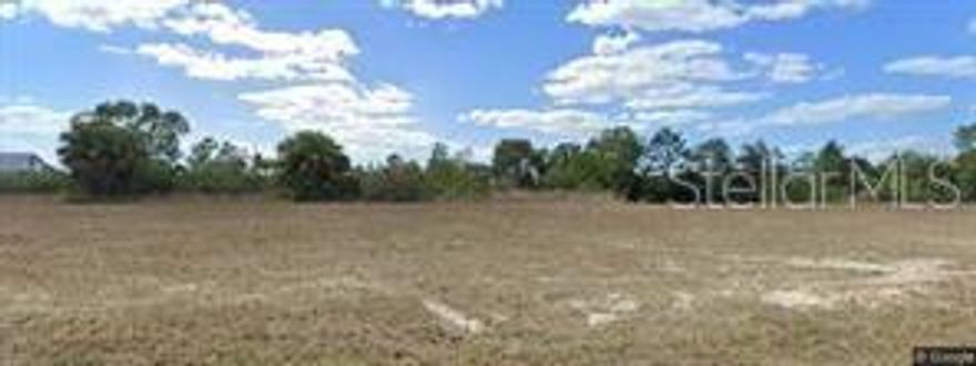 Clean, cleared standard sized lot located on a freshwater canal in Cape Coral. Great opportunity for building your dream home.  Ideal for boating, kayaking or simply enjoying the water.  Conveniently located minutes from the beach, close to schools, shopping, restaurants and main roads.  No HOA.  All information recorded in the MLS is intended to be accurate but can not be guaranteed.