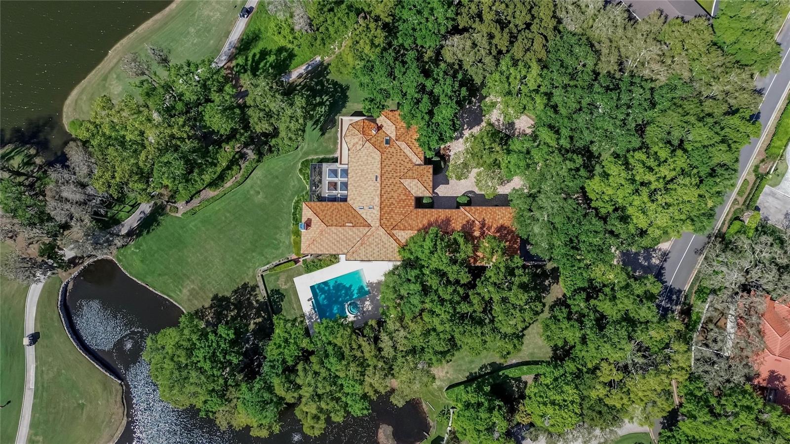 1043 GUISANDO DE AVILA