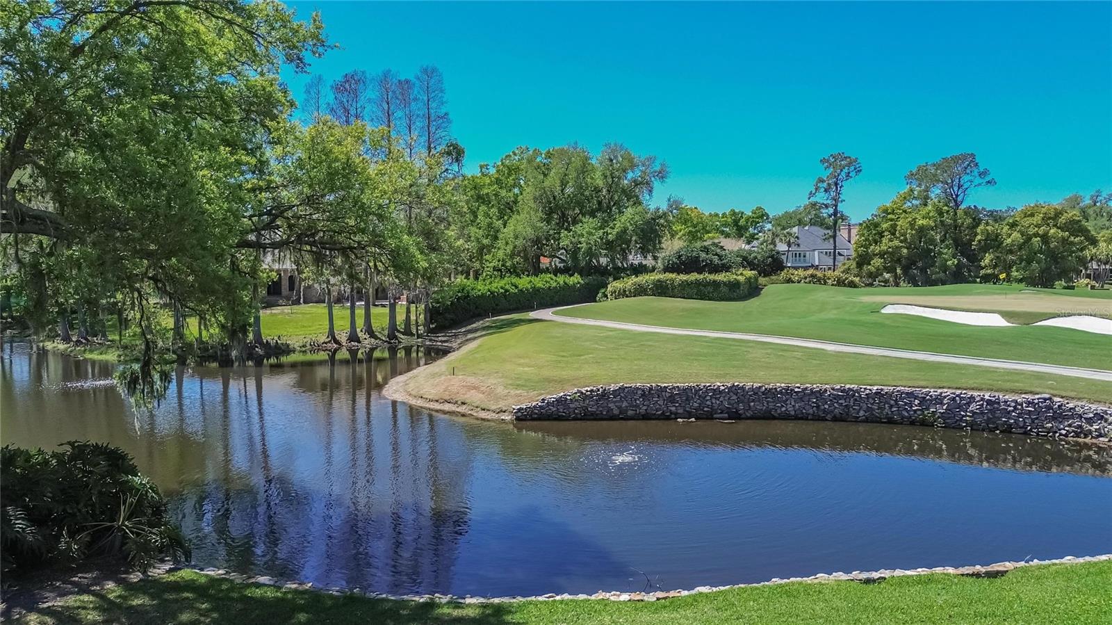 1043 GUISANDO DE AVILA