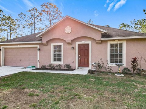 A home in CITRUS SPRINGS