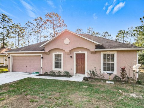 A home in CITRUS SPRINGS