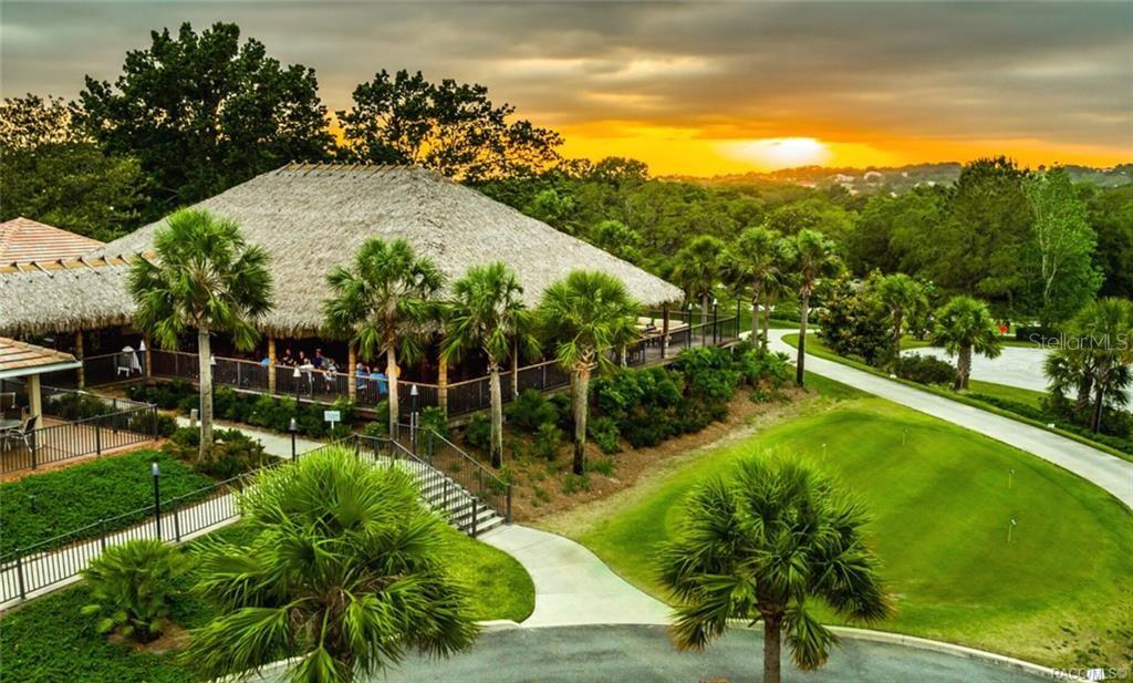 CITRUS HILLS 1ST ADD - Residential