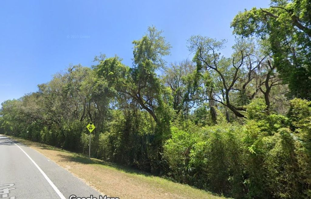 Photo of SE 17th Lane, Ocklawaha, FL 32179 (MLS # O6363352)