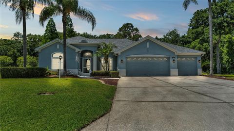 Single Family Residence in PLANT CITY FL 2701 SPRING MEADOW DRIVE.jpg