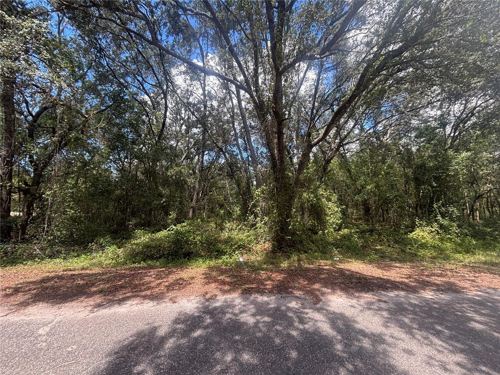 Opportunity awaits with this .26-acre lot located in the growing community of Ocklawaha. Situated on a paved road, this property offers the perfect setting to build your dream home or hold as an investment. With many new homes being built in the area, this is your chance to secure land in a desirable and up-and-coming neighborhood.