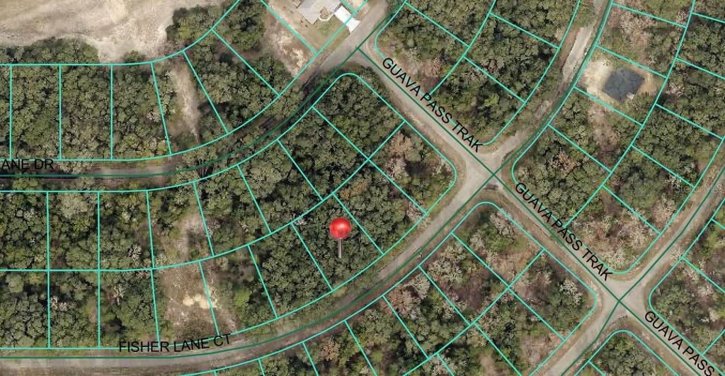 Photo of 56 Fisher Lane Court, Ocklawaha, FL 32179 (MLS # OM709016)