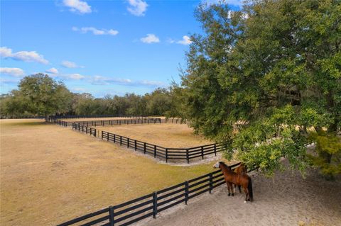 Tiny photo for 12350 NW Hwy 225, Reddick, FL 32686 (MLS # OM718236)