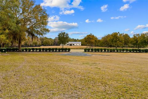 Tiny photo for 12350 NW Hwy 225, Reddick, FL 32686 (MLS # OM718236)