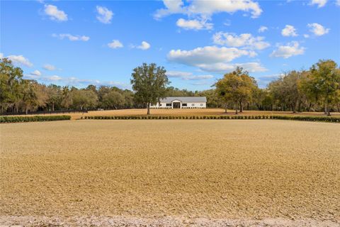 Tiny photo for 12350 NW Hwy 225, Reddick, FL 32686 (MLS # OM718236)