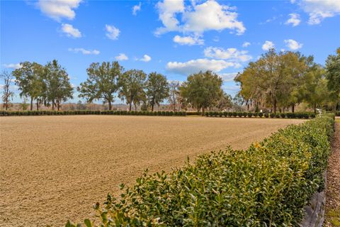 Tiny photo for 12350 NW Hwy 225, Reddick, FL 32686 (MLS # OM718236)