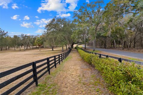 Tiny photo for 12350 NW Hwy 225, Reddick, FL 32686 (MLS # OM718236)