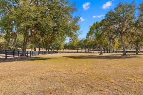 Tiny photo for 12350 NW Hwy 225, Reddick, FL 32686 (MLS # OM718236)
