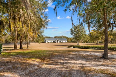 Tiny photo for 12350 NW Hwy 225, Reddick, FL 32686 (MLS # OM718236)