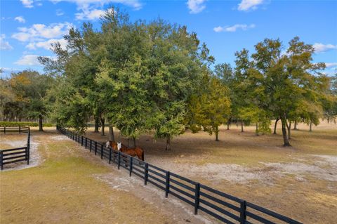 Tiny photo for 12350 NW Hwy 225, Reddick, FL 32686 (MLS # OM718236)