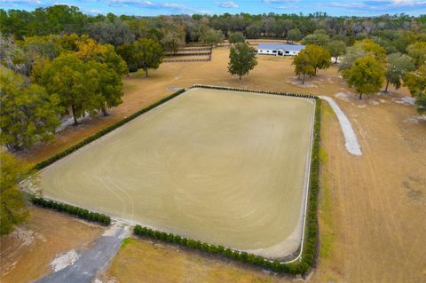 Tiny photo for 12350 NW Hwy 225, Reddick, FL 32686 (MLS # OM718236)