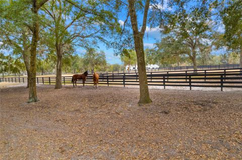 Tiny photo for 12350 NW Hwy 225, Reddick, FL 32686 (MLS # OM718236)