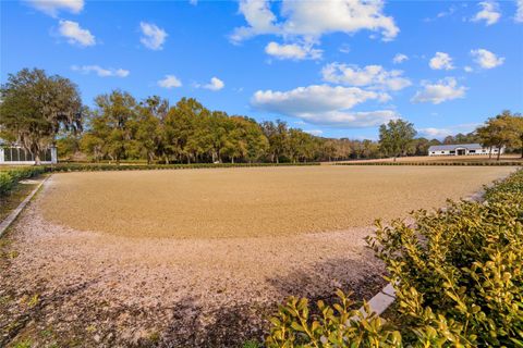 Tiny photo for 12350 NW Hwy 225, Reddick, FL 32686 (MLS # OM718236)