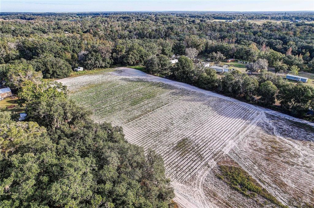 Photo of 4822 Nesmith Road, Plant City, FL 33567 (MLS # TB8454510)