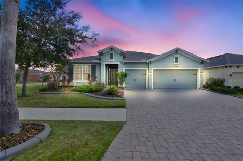 Photo of 11718 Lake Lucaya Drive, Riverview, FL 33579 (MLS # TB8485166)