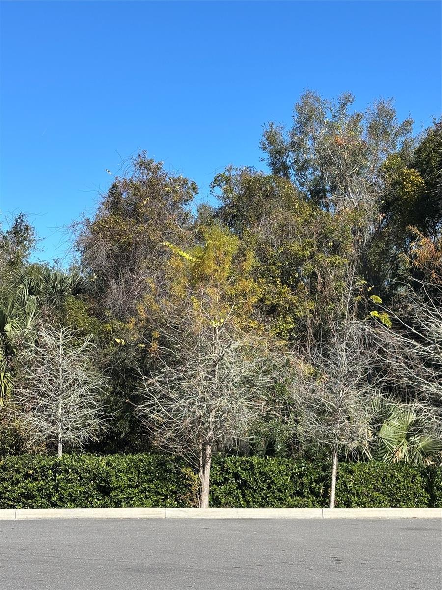 CLEARVIEW LAND DEV - Land