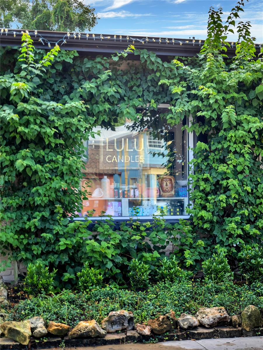 AVALON PARK TAVARES - Residential