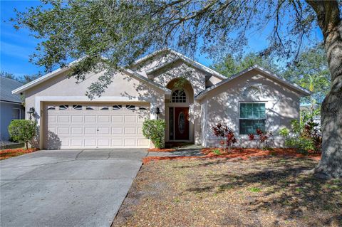 7136 COLONY POINTE DRIVE RIVERVIEW FL 33578